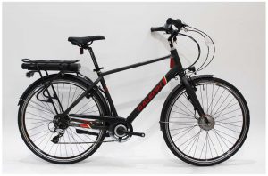 Raleigh Array crossbar E-Bike £995 